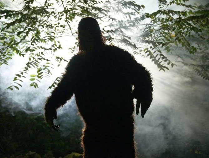 Montana Man Says Shooter Mistook Him for Bigfoot