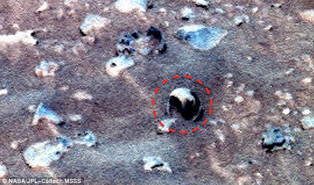 'Ancient Seashells' Spotted on Mars