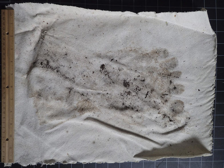 'Giant Footprint' Found Imprinted on Mattress in US Wilderness