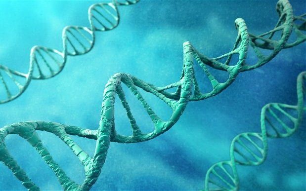 Scientists Uncover DNA Switch for 'Full Body Regeneration'