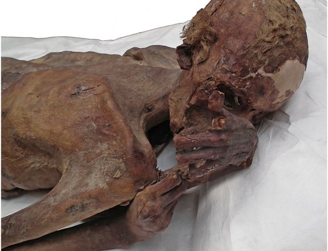 'Oldest Tattoo' Found on 5,000-year-old Egyptian Mummies