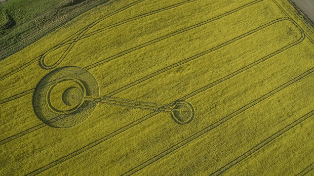 First Crop Circle of the Year Appears in Wiltshire