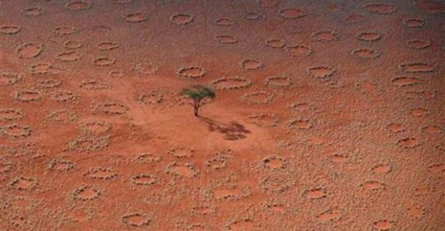 Hundreds of Mysterious New 'Fairy Circles' Discovered