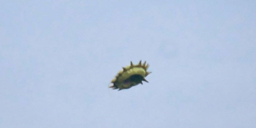 Balloon or UFO? Wildlife Photographer Snaps Odd Flying Object