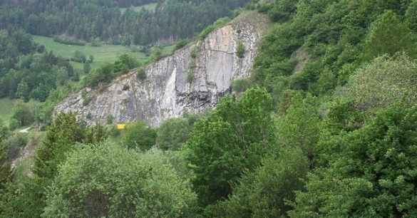 Thirteen Cows Mysteriously Jump Off a Cliff in Switzerland