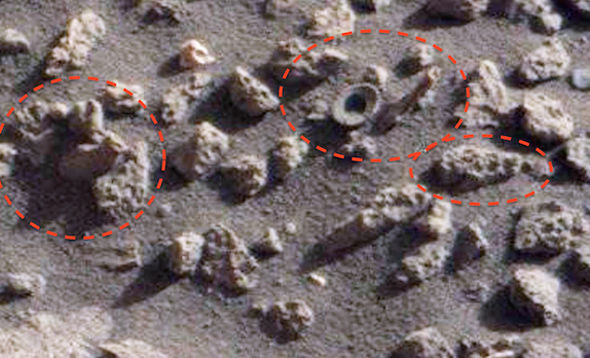 Are There Fossils on Mars?
