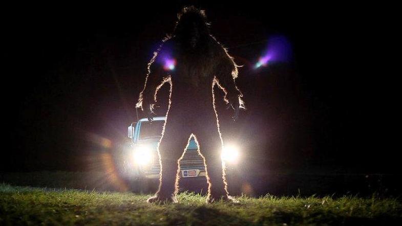 'Sasquatch' Audio Recorded in New Hampshire White Mountains