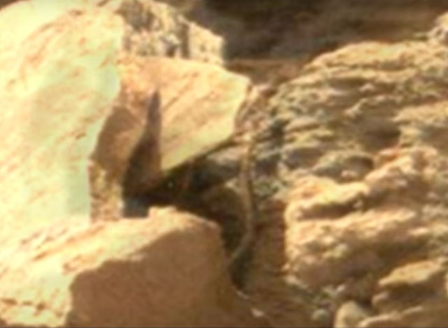 Fossilized Alien Worm Spotted on Mars?