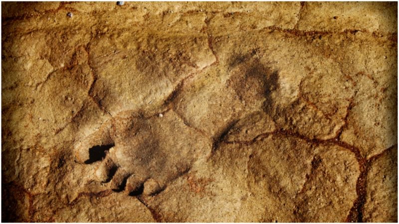 85,000 Year Old Human Footprints Revealed in Saudi Arabia