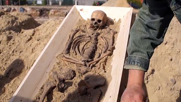 'Vampire Skeleton' Unearthed in Poland on Display at Museum