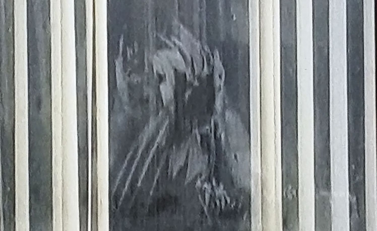 Ghost Hunter Claims Picture Shows Spirit of Old Lady in Window