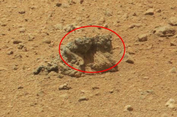 Does This Photo Show Two Petrified Aliens Hugging on Mars?