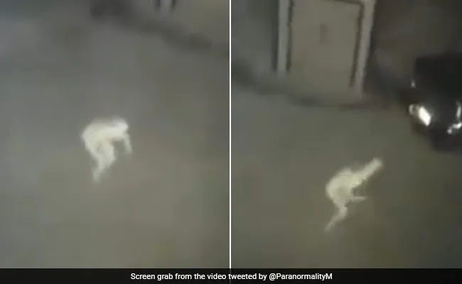 Mysterious Pale Figure Caught on CCTV