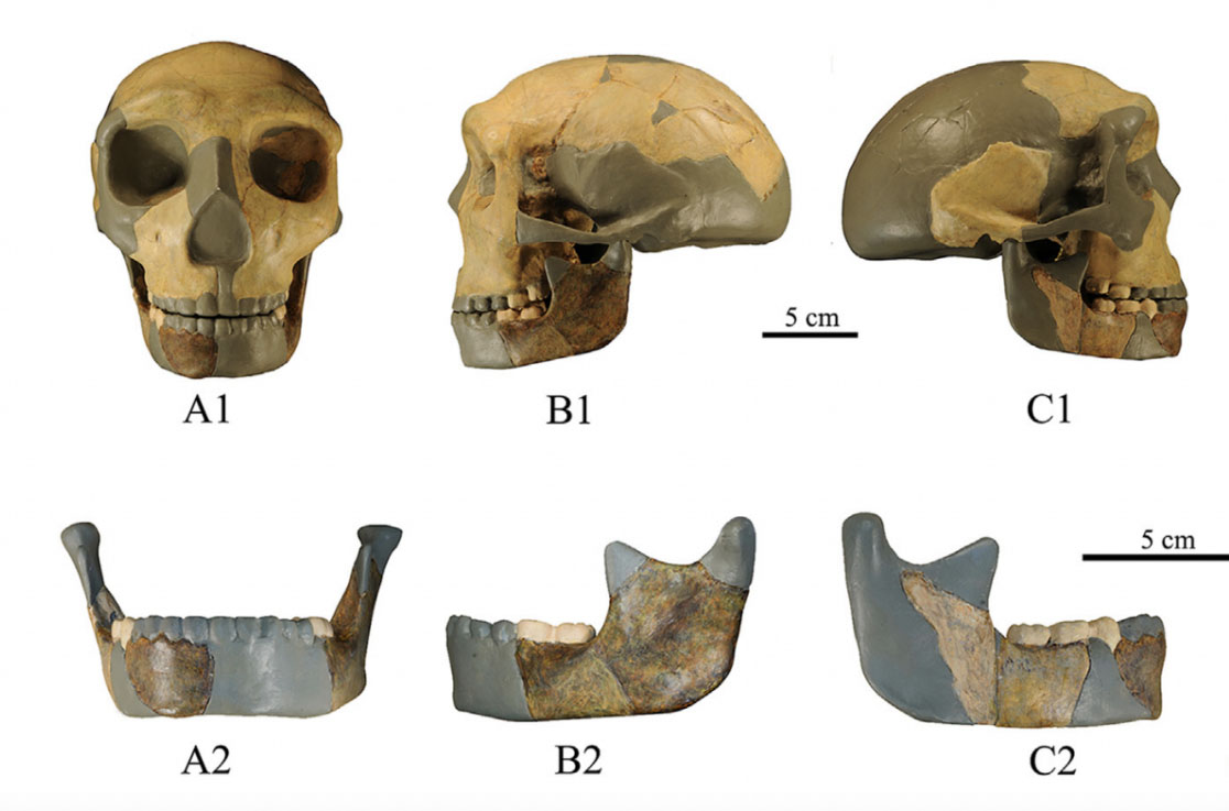 Unearthed Ancient Remains Could 'Rewrite Human Lineage'