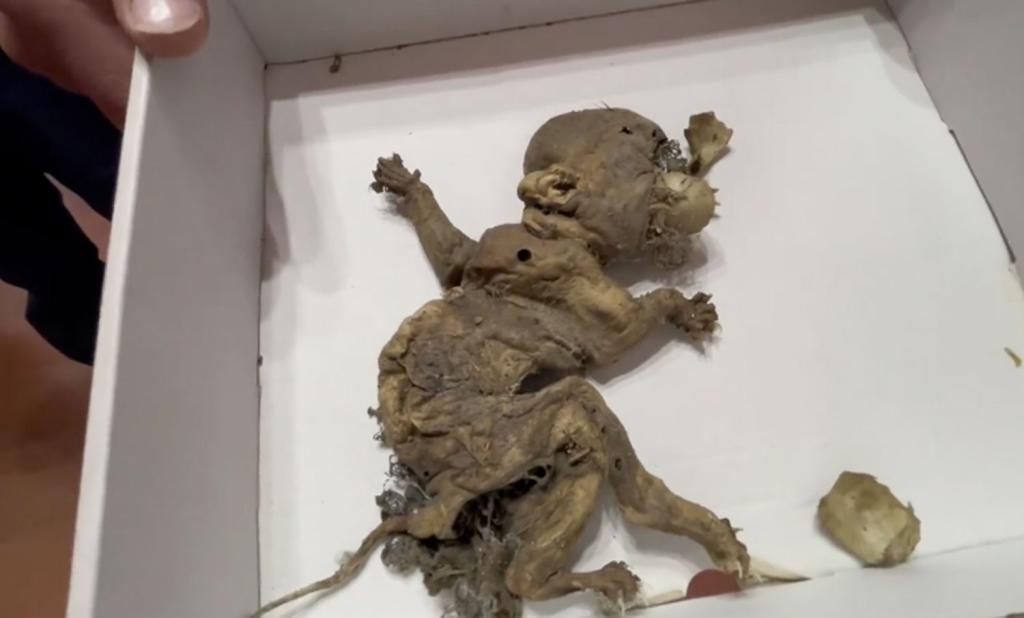'Goblin Fetus' Discovered in Old Warehouse, Claims Local Mayor