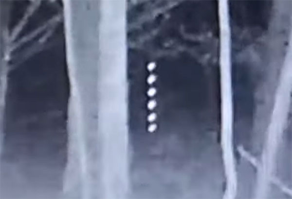 Game Camera Photographs Strange 'String of Lights' in Woods