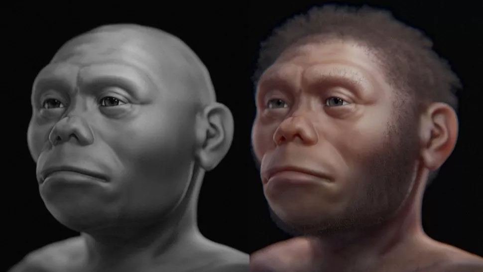 See the Face of the 'Hobbit,' an Extinct Human Relative