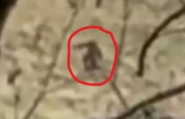 Footage Captures 'Ape-looking Figure' Trekking up US Mountain