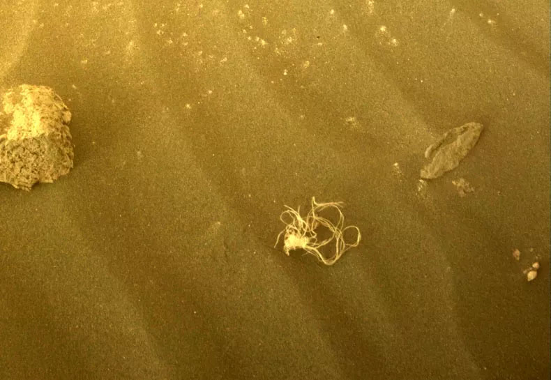 Perseverance Rover Finds Strange Spaghetti-like Object on Mars