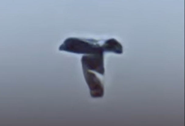 Bizarre T-Shaped UFO Photographed in Mexico