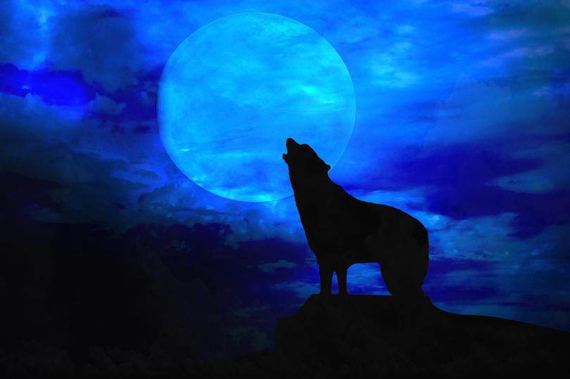 Werewolf Hunter Reveals UK's 'Paranormal Triangle'