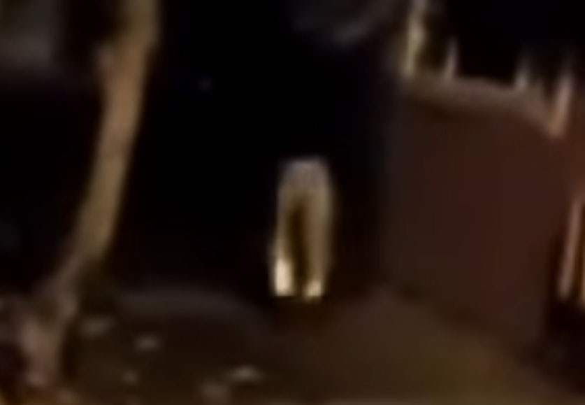 'Ghost Pants' Caught on Film?