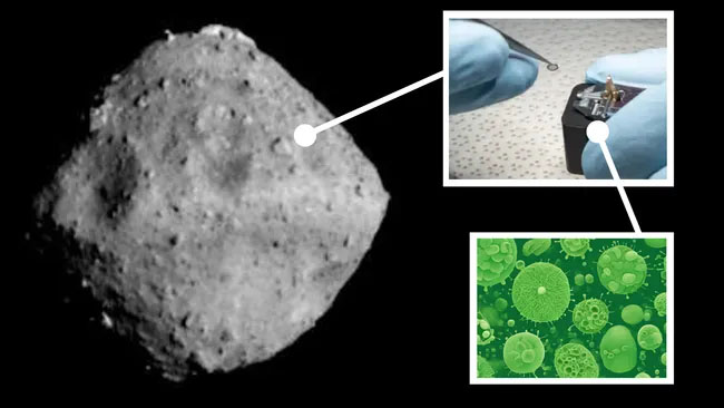 Priceless Asteroid Sample 'Rapidly Colonized' by Bacteria