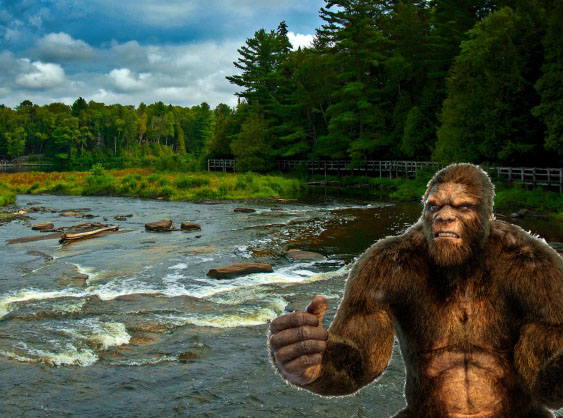 Hunters Claim to Have Seen Two Bigfoot Fighting in the Woods