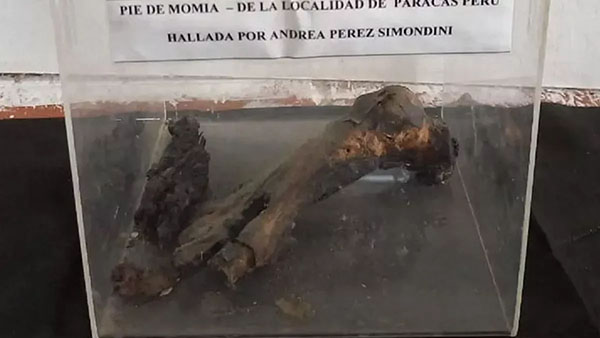 UFO Museum Raid Seizes 'Alien' Mummy Foot