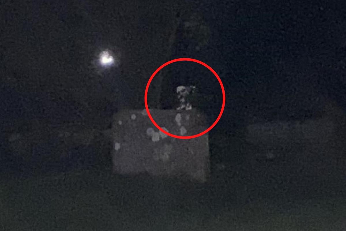 Ghostly 'Face' Caught on Camera at New Forest Cemetery