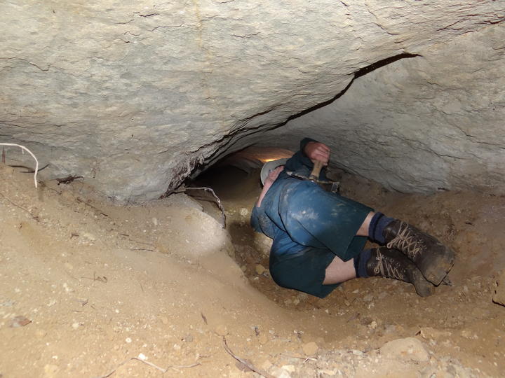 Concerns over Secret Search for Giants' Bones in New Zealand