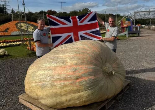 Massive UK Pumpkin Sets New World Record