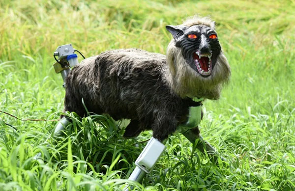 Japanese 'Robot Wolves' in High Demand to Scare off Bears