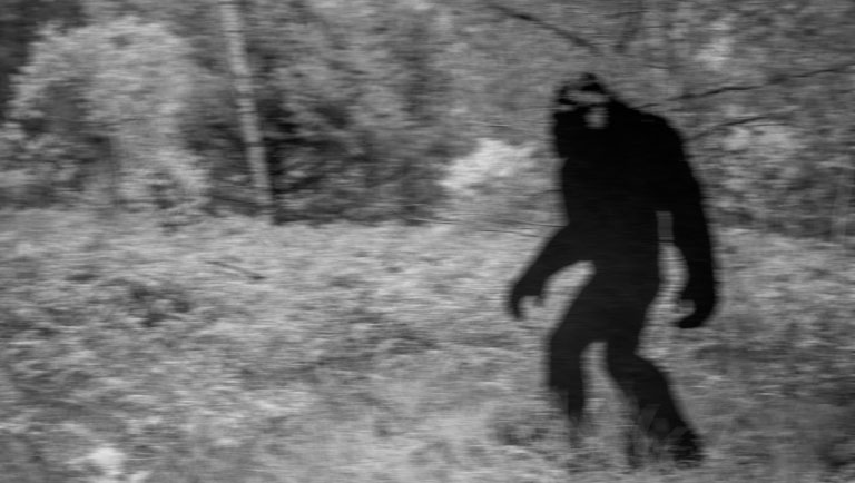 Hunter Tells Story of Having 'Bigfoot' in His Sights For 20 Minutes