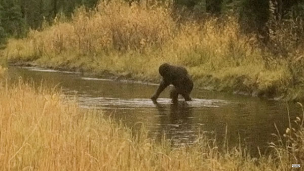 Bigfoot Photographed in New Hampshire?