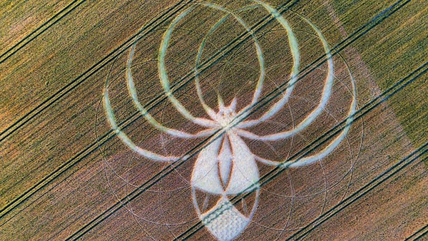 'Alien Spider' Crop Formation Found in England
