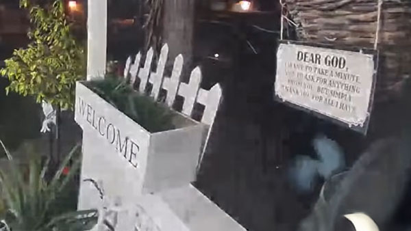Alien Filmed by California Doorbell Camera?