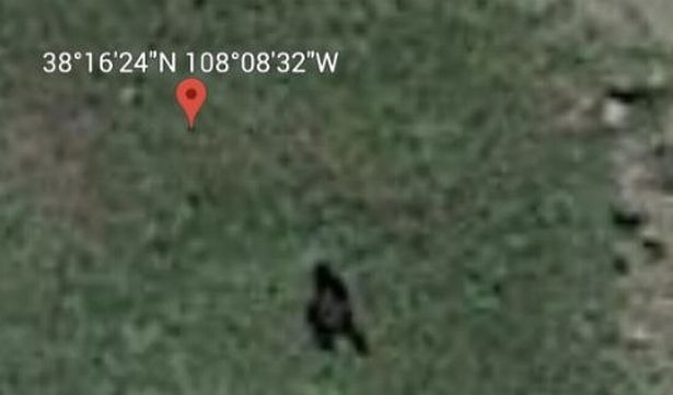 'Bigfoot Shadow' Spotted on Google Earth?