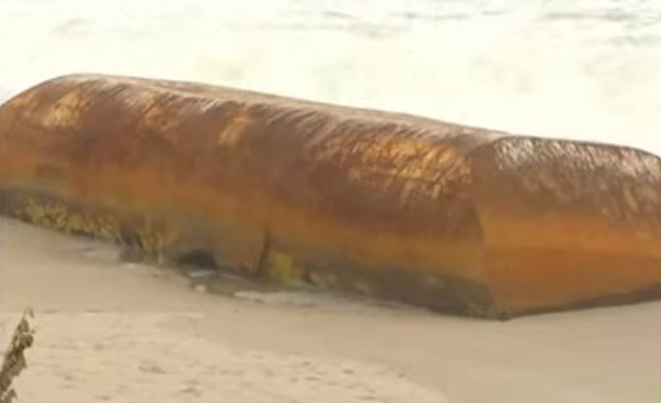 Mysterious Unexplained Object Washes up on a Florida Beach