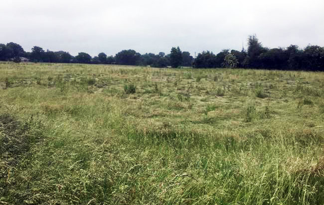 Strange Light Seen over English Village, Followed by Crop Circle