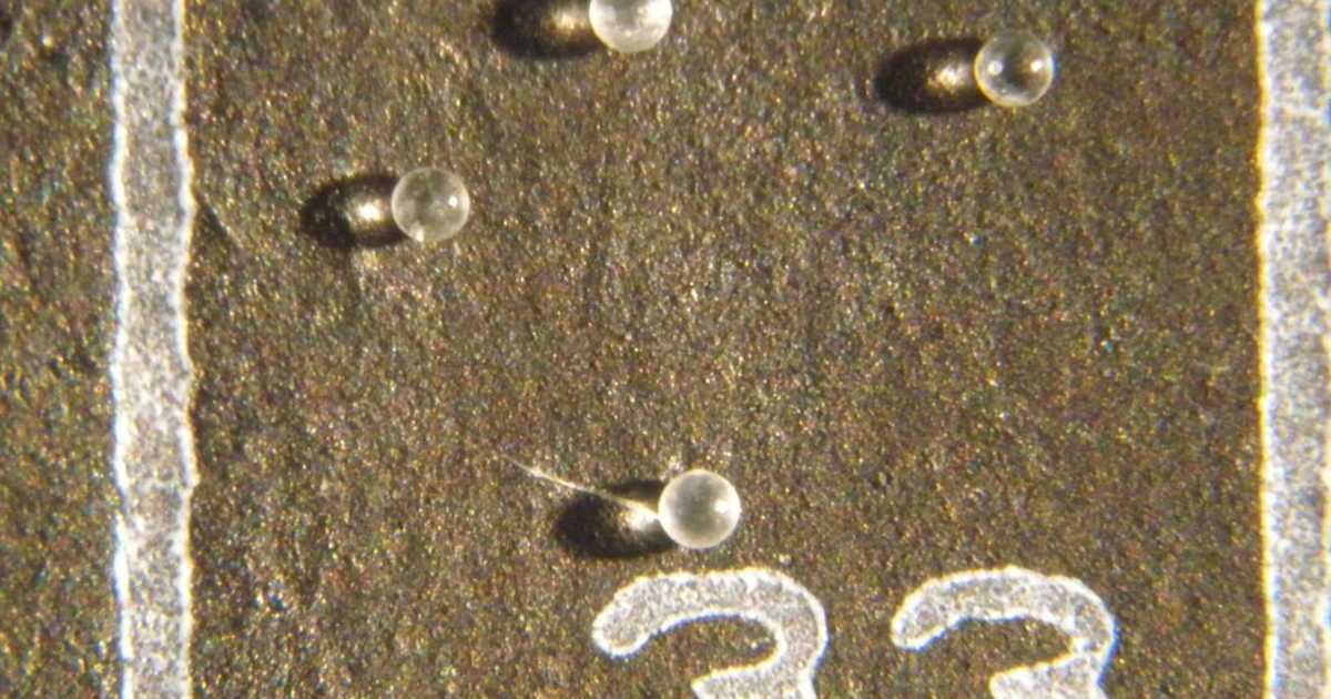 Mysterious Clear Pearls 'May Be Extraterrestrial'