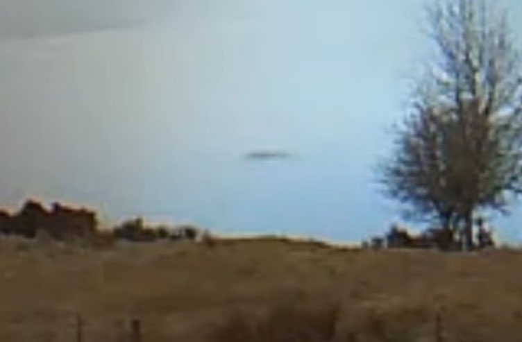 Webcam Watcher Spots Nessie?