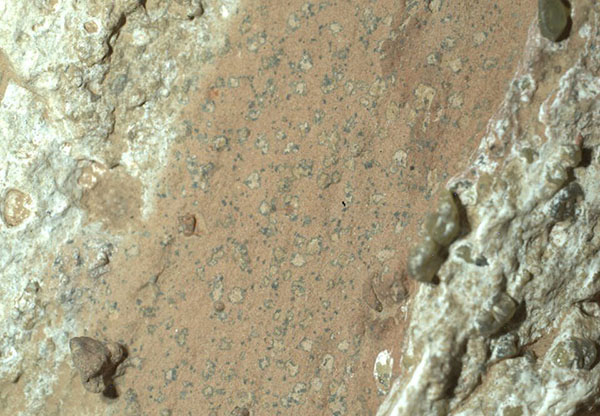 NASA Mars Rover Finds Rock with Possible Signs of Ancient Life