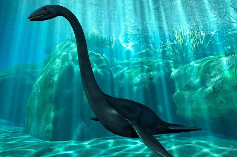 Loch Ness Monster 'Plausible' Following New Discovery