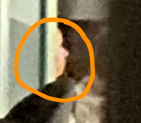 Paranormal Group Snaps Photo of 'Ghost' in Historic Pub