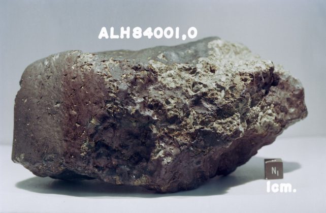 Intriguing Meteorite From Mars Reveals 'Huge Organic Diversity'