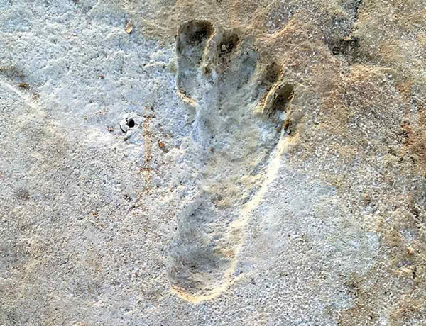 Study Confirms Controversial 23,000-year-old Human Footprints