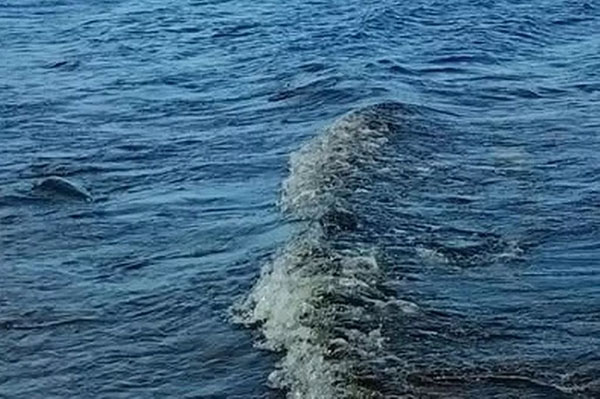 Odd Water Disturbance Caught on Camera at Loch Ness