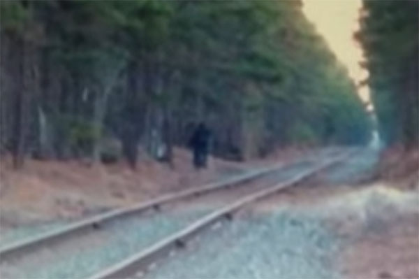 'Bigfoot' Follows Researcher in New Jersey Wildlife Area