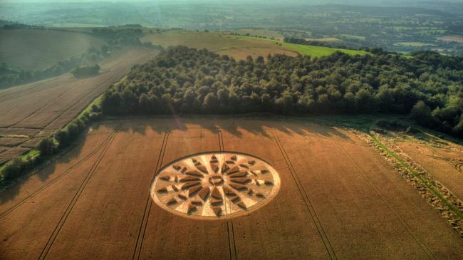 Mystery Crop Circle Appears in Dorset Field